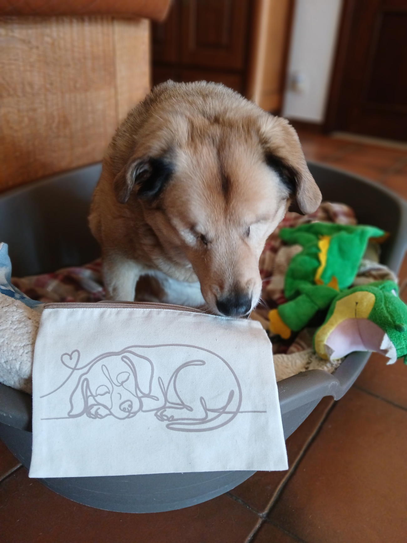 product_image_239855