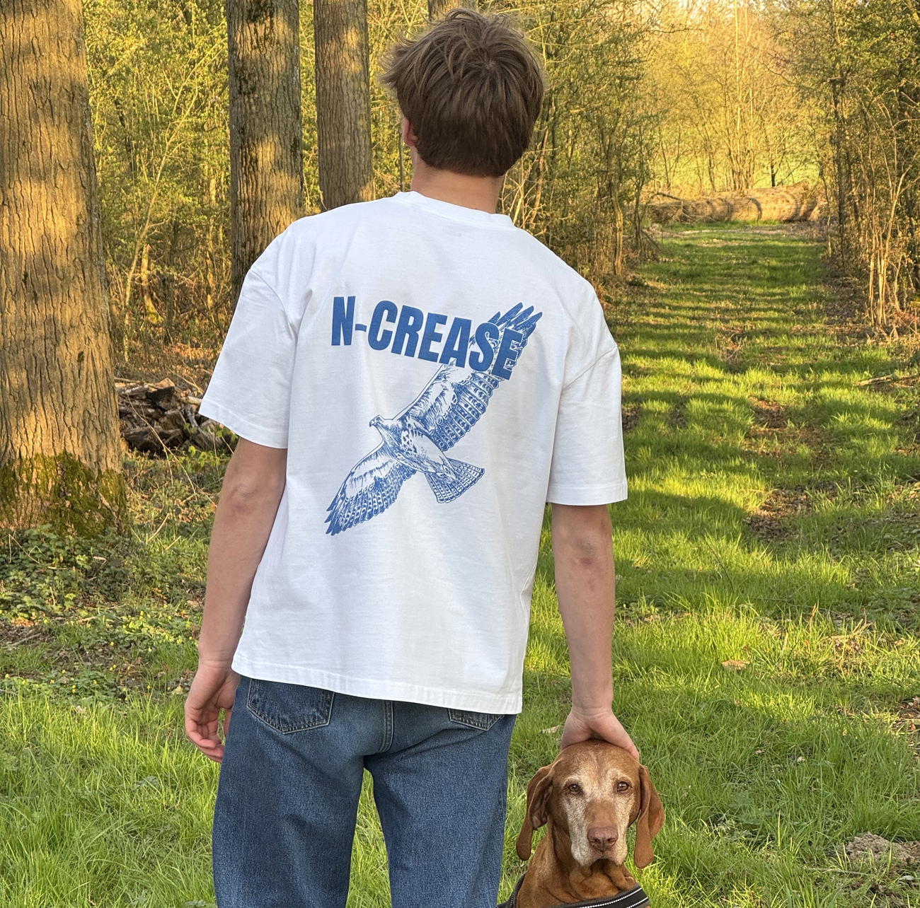 product_image_341010