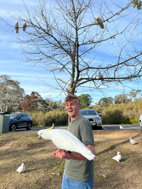 product_image_435769