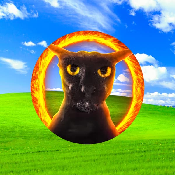 The Multiverse Of Cats