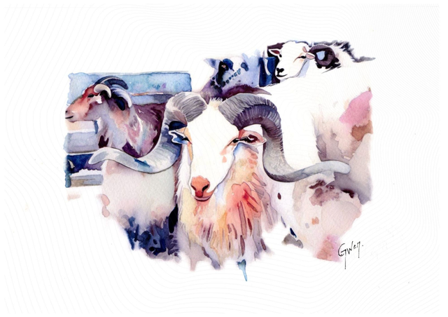 Aquarelle originale de Gwen Lemasson – "Souvenir de la Tundera à Occhiatana"