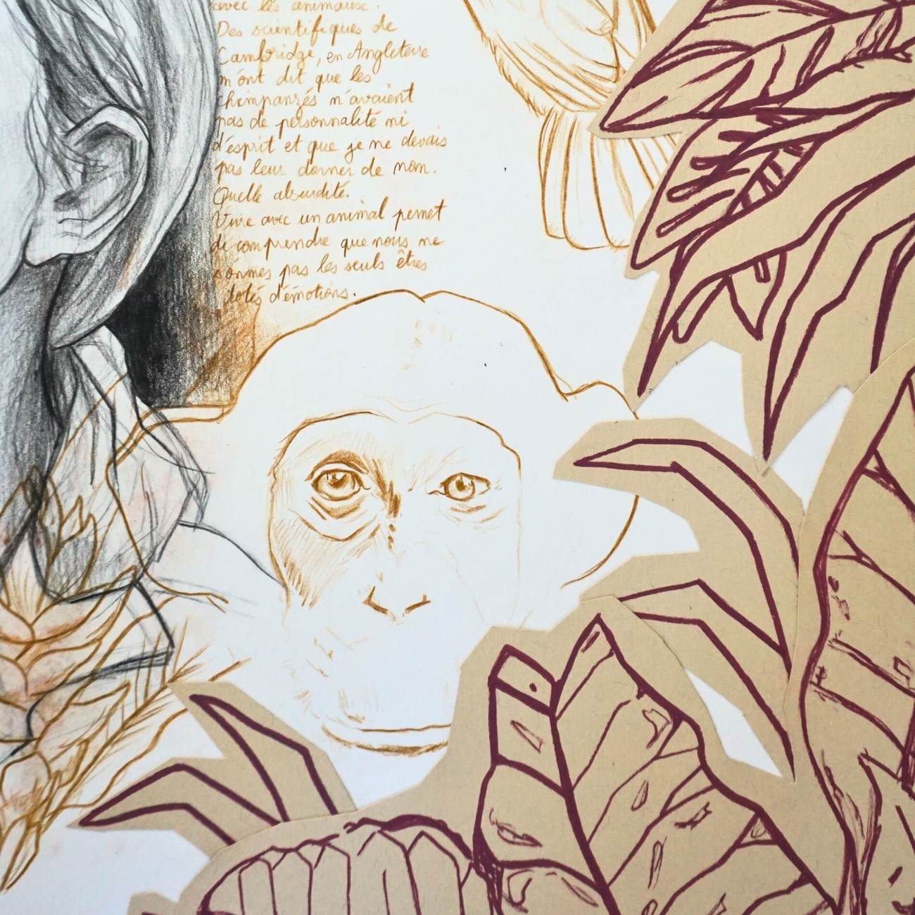 Portrait original de Jane Goodall – Crayon & Collages (50x65 cm) - Image