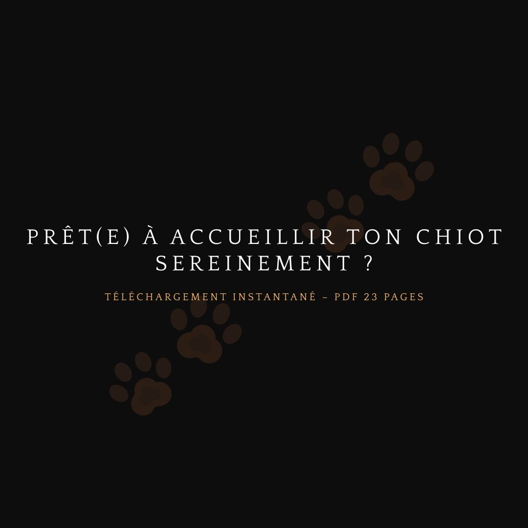 product_image_308883