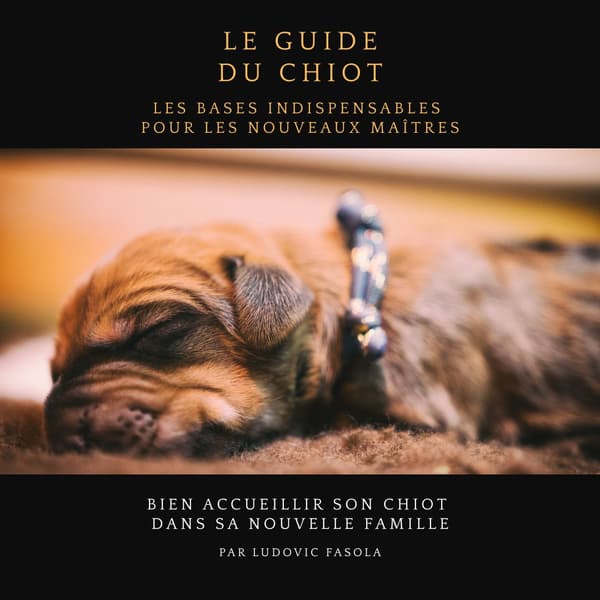Le guide du chiot 