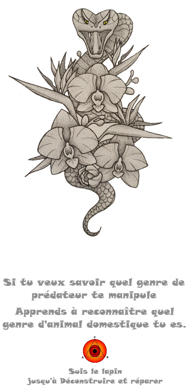 product_image_364870