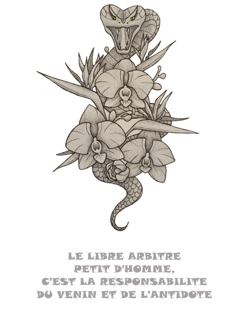 product_image_396824