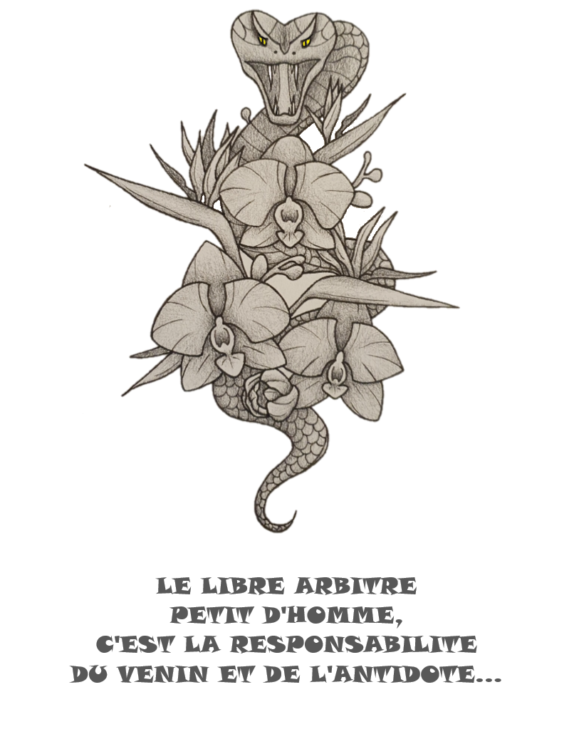 product_image_570230