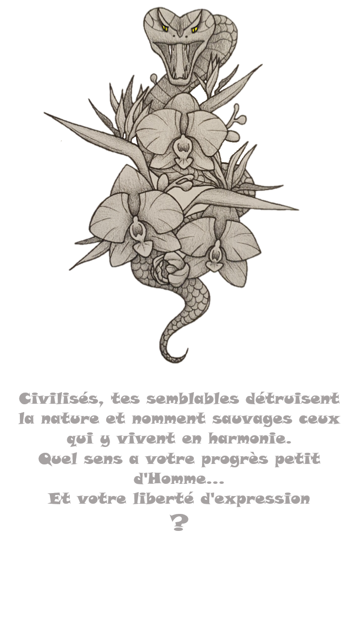 product_image_463878