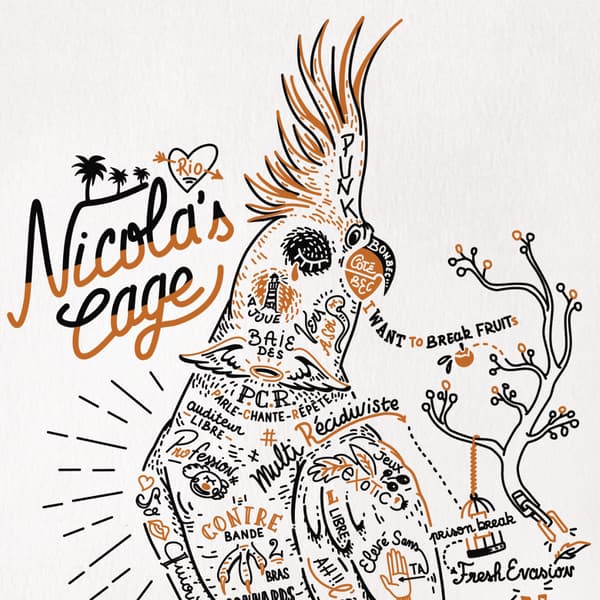 Image back Poster vertical : Perroquet Éloquent Échappé de sa Cage