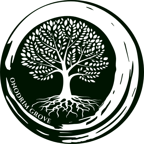 Logo de la boutique 