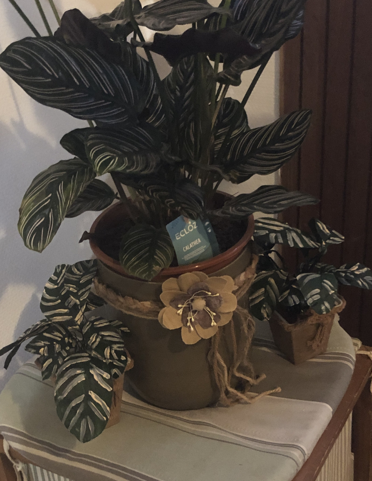 product_image_120452