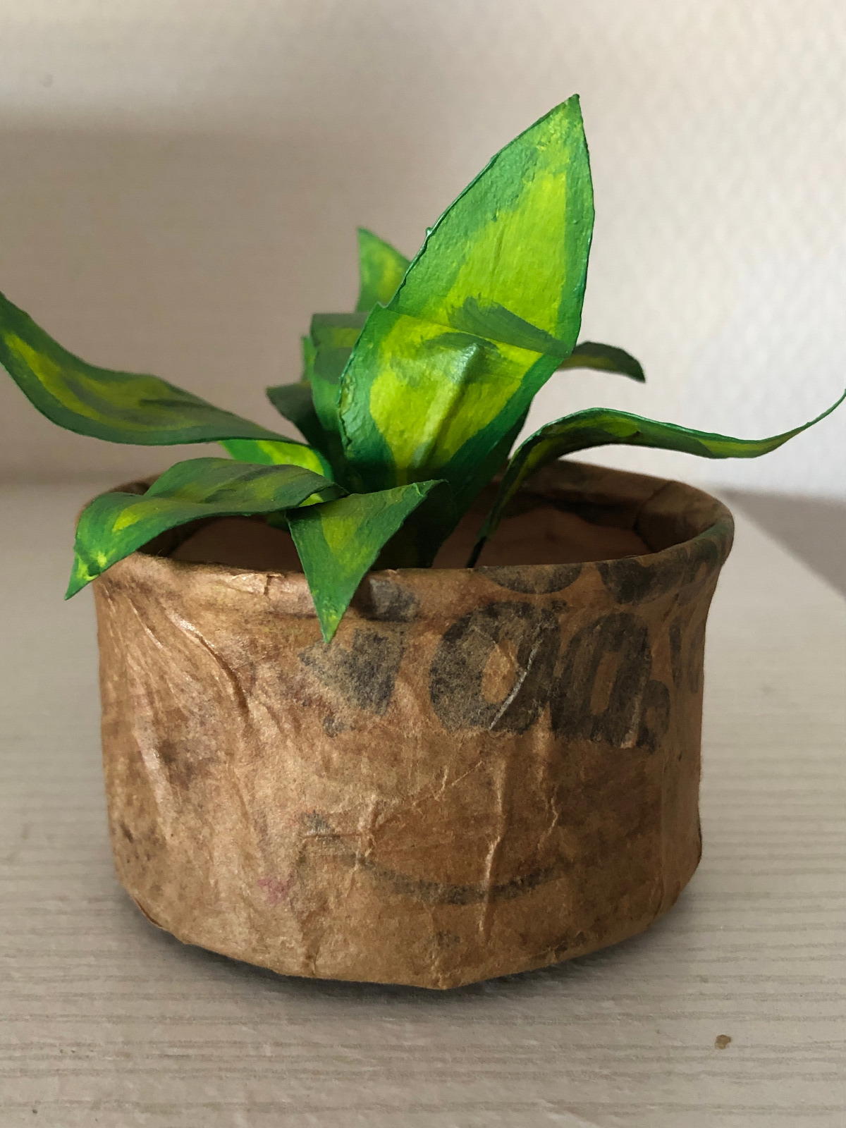 Image front Plante AGT - Art et Grâce de la Terre - Sanseviera de la Nature d'Efélia