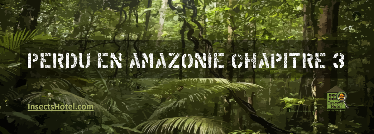 Image Perdu en Amazonie [Chap.3]
