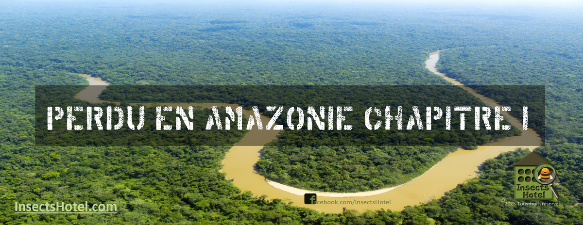 Image Perdu en Amazonie [Chap. 1]