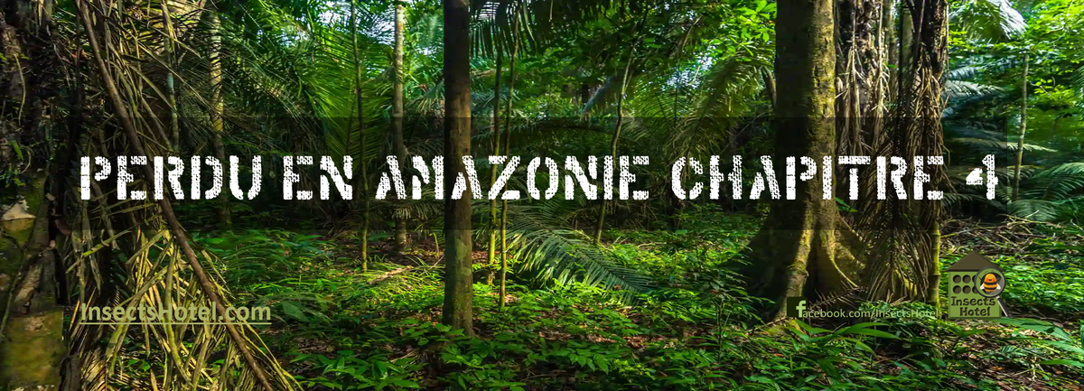 Image Perdu en Amazonie [Chap.4]