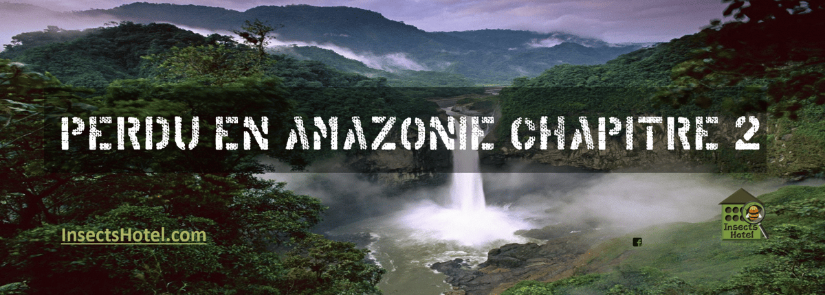 Image Perdu en Amazonie [Chap. 2]