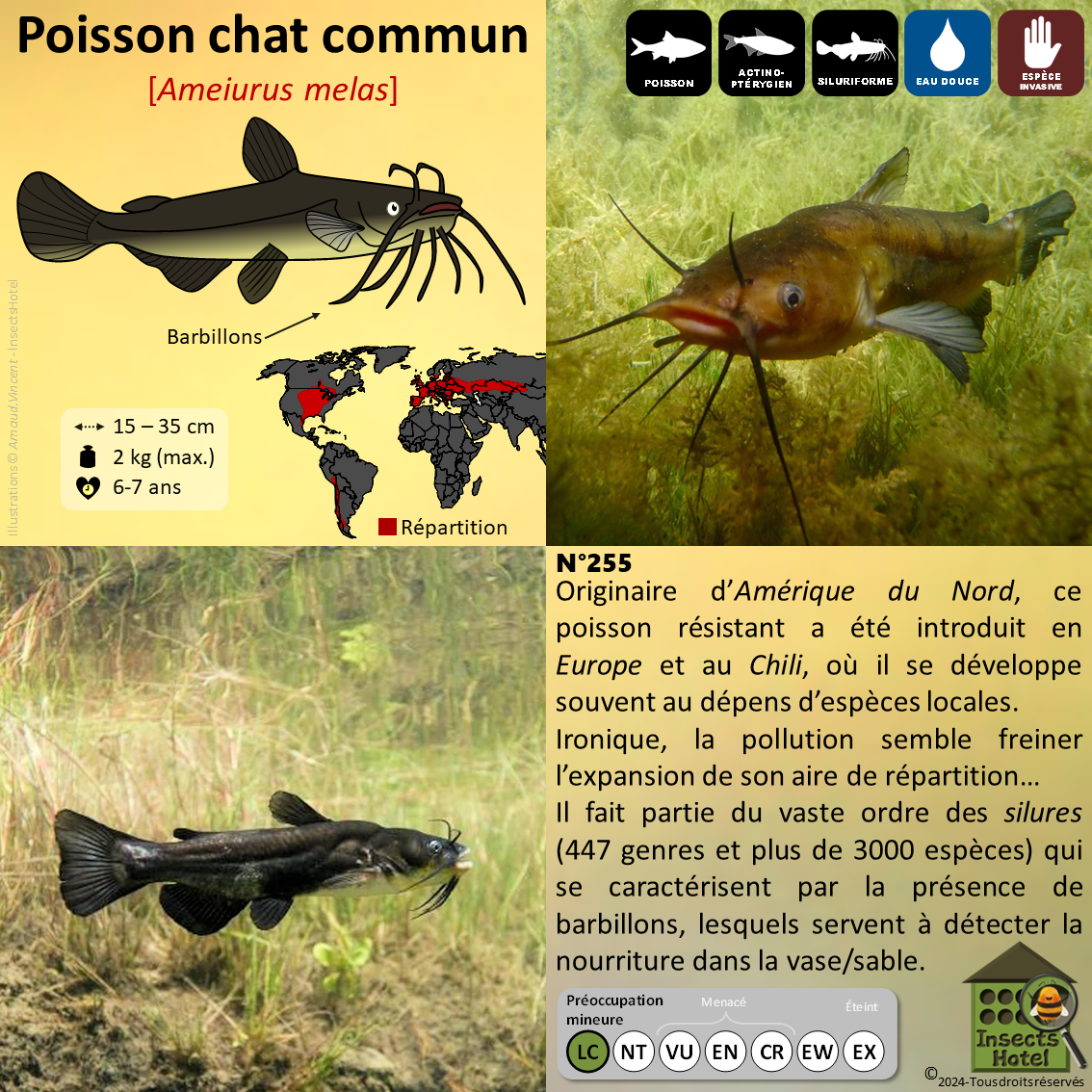 product_image_646227