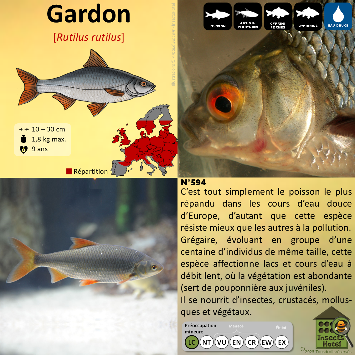 product_image_104924