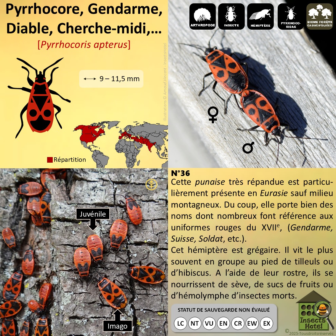 product_image_558046