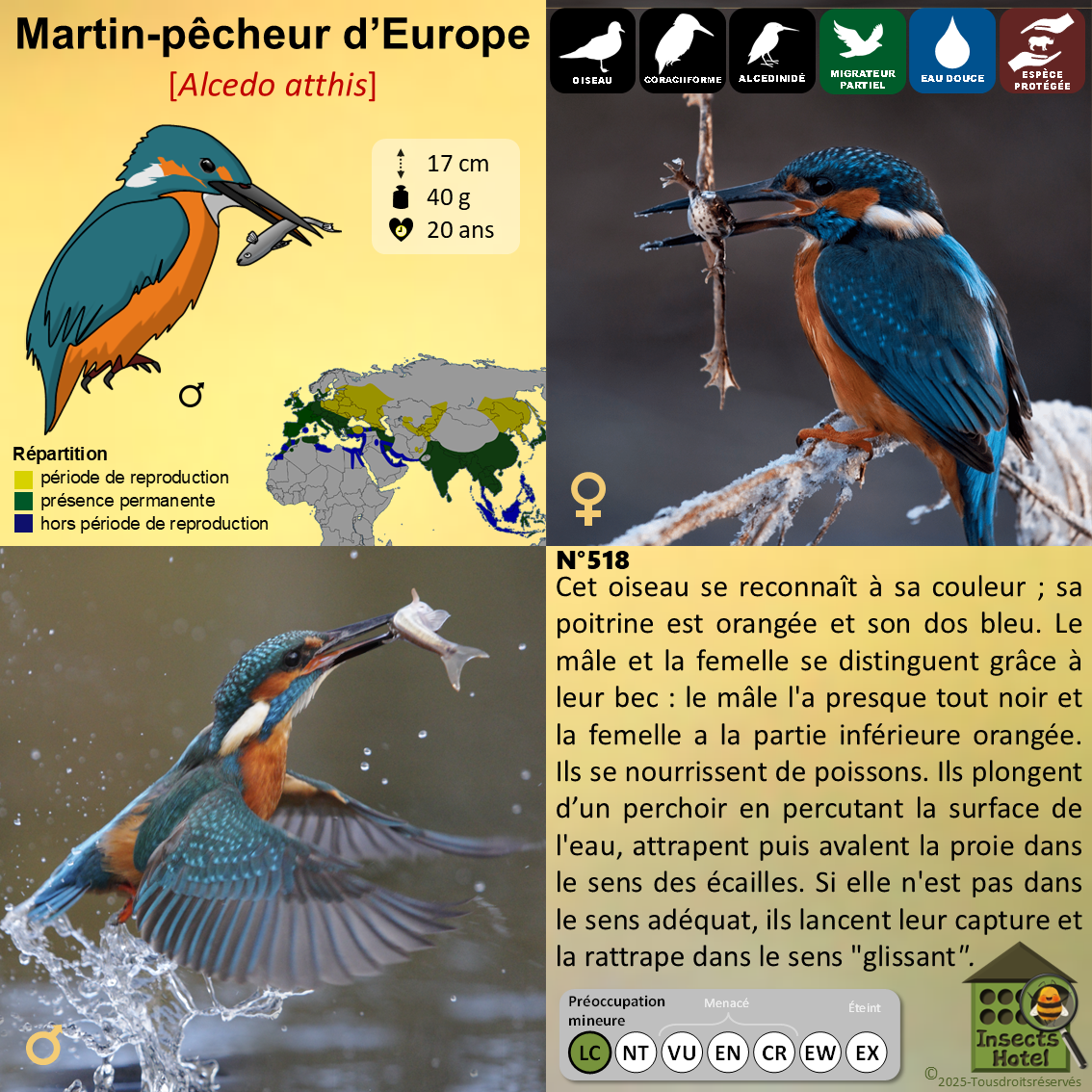 product_image_736868