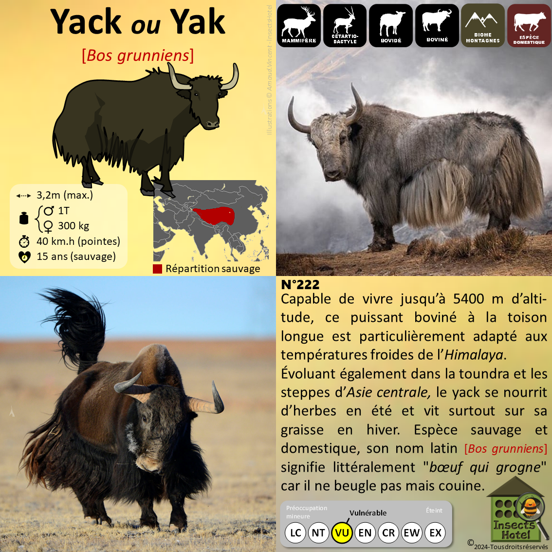 product_image_140696