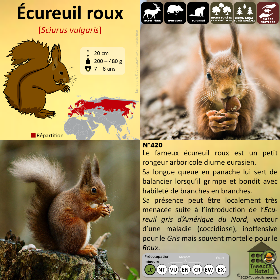 product_image_642957