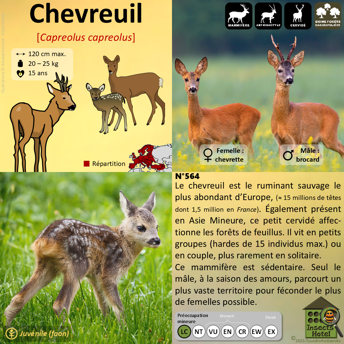 product_image_360484