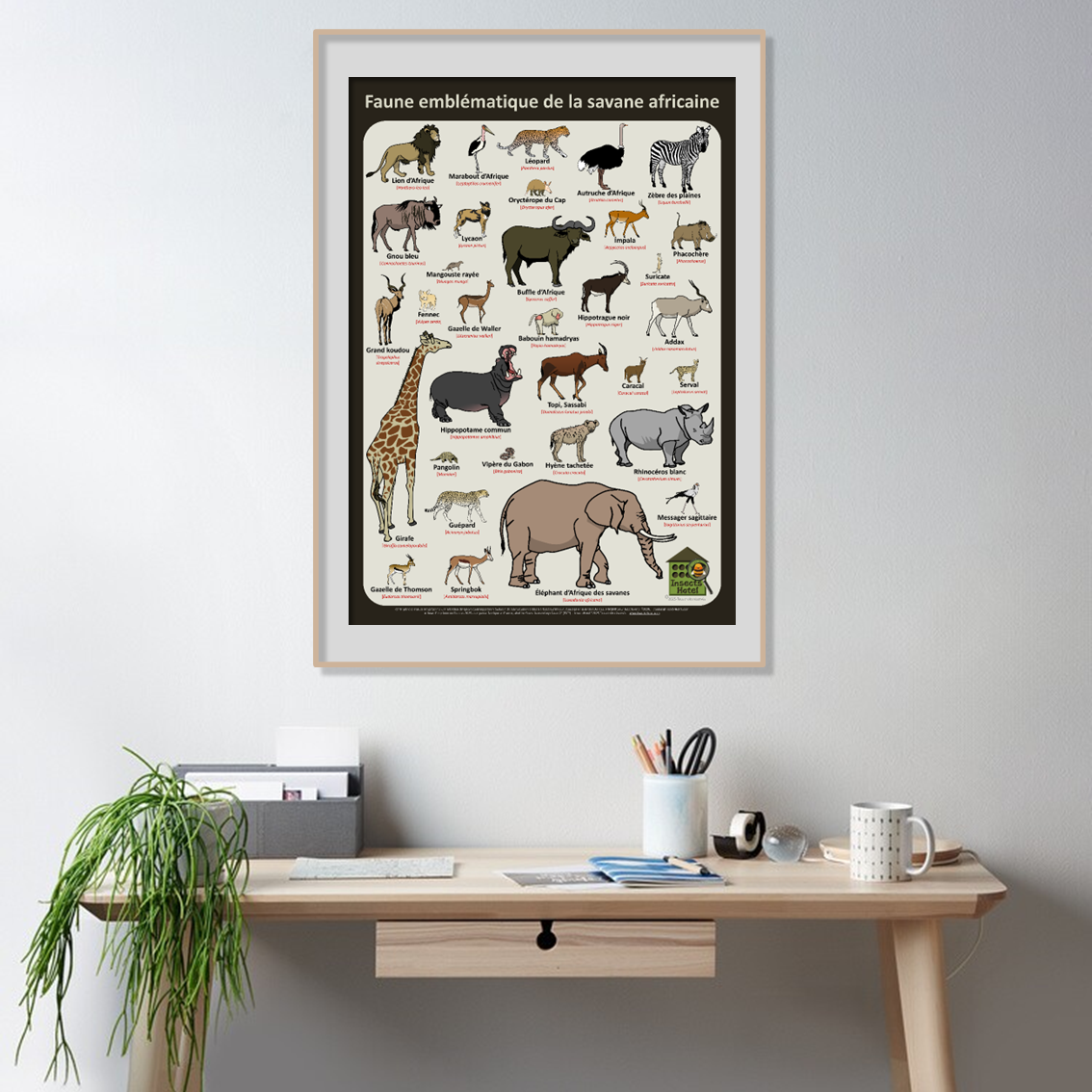 product_image_471732