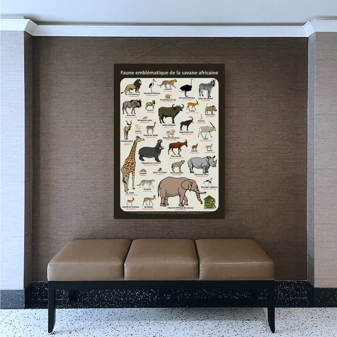 product_image_972243