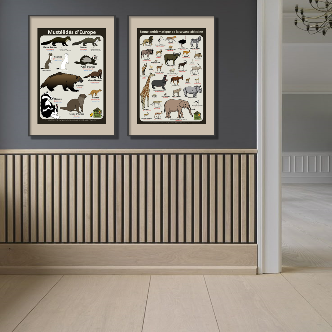 product_image_248545