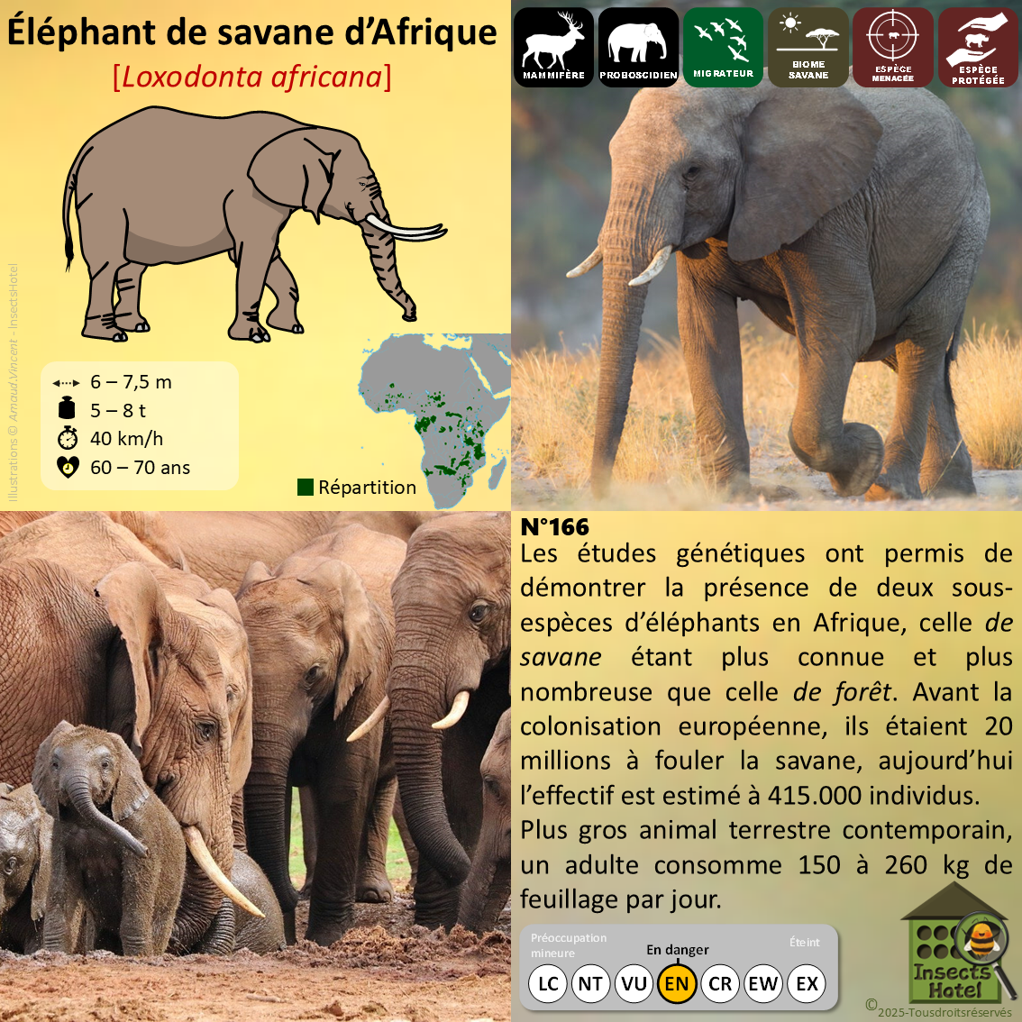 product_image_243315