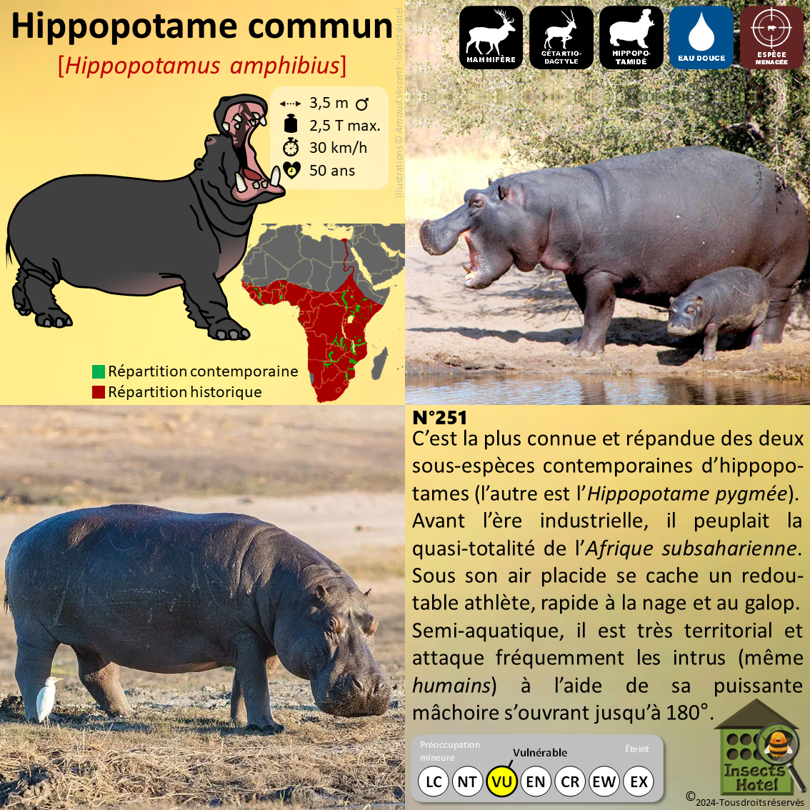 product_image_454367