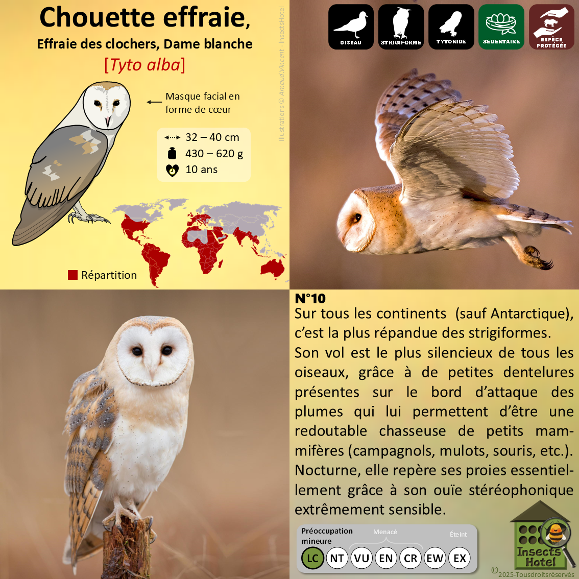 product_image_149046