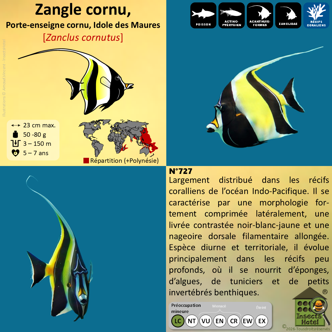 product_image_218843