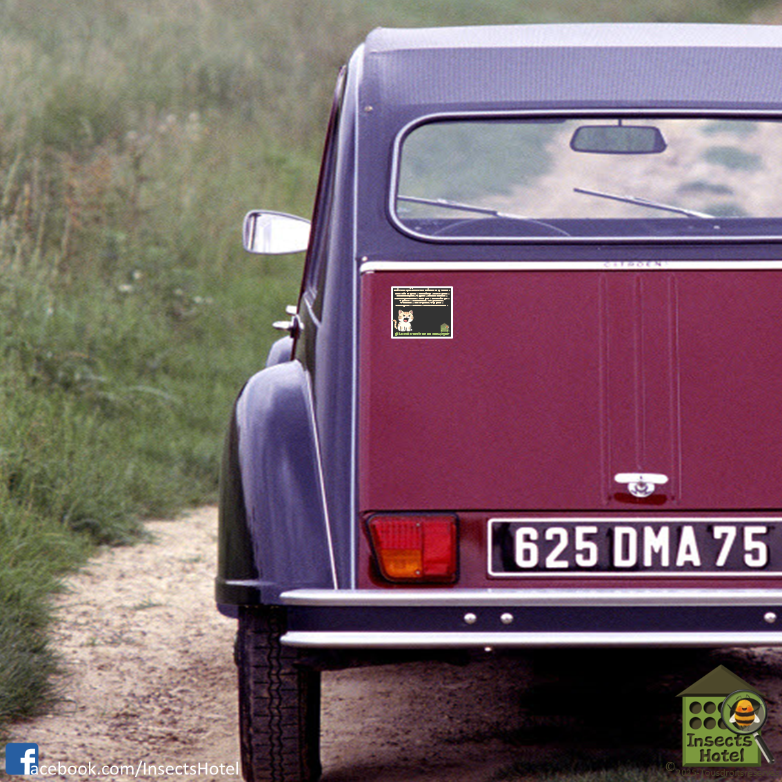 product_image_848055