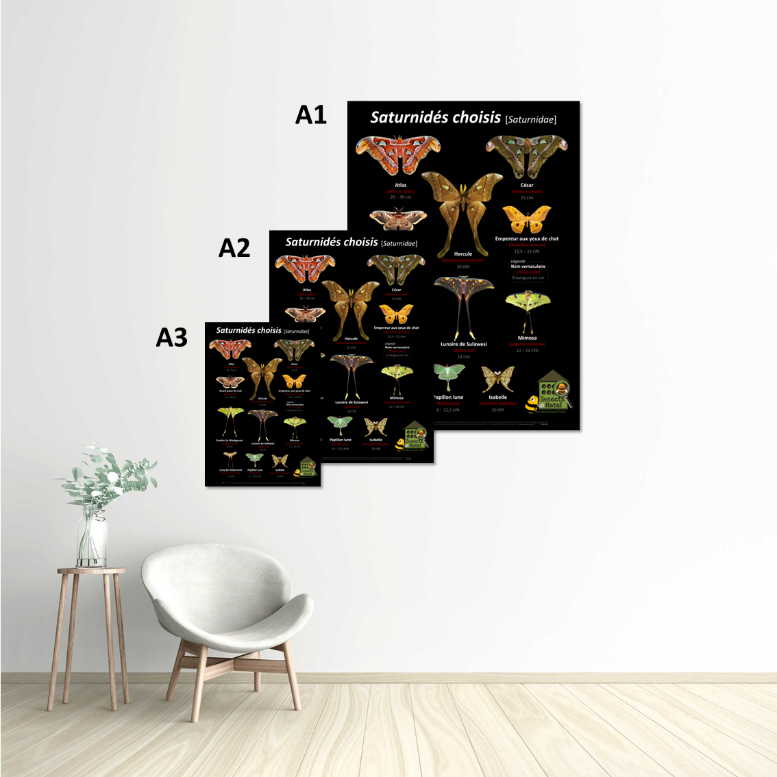 Image back Poster - Saturnidés choisis