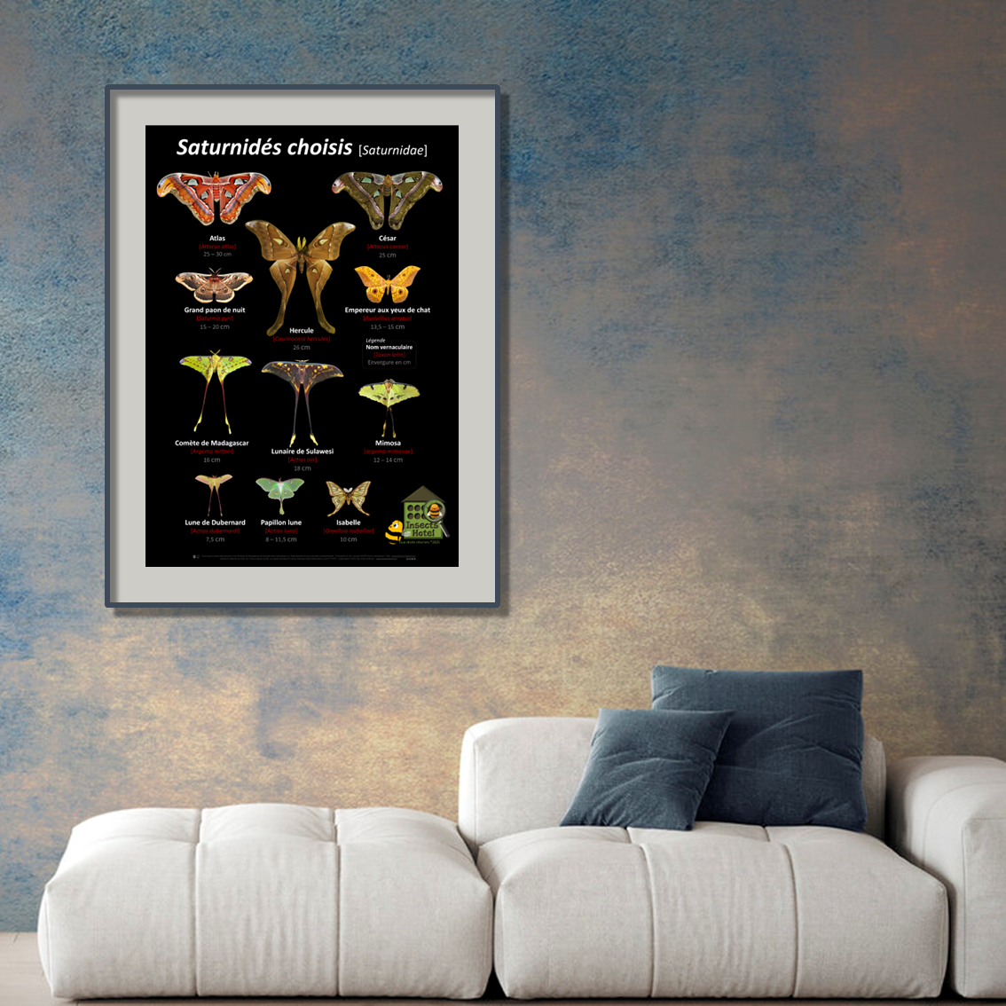 product_image_785142