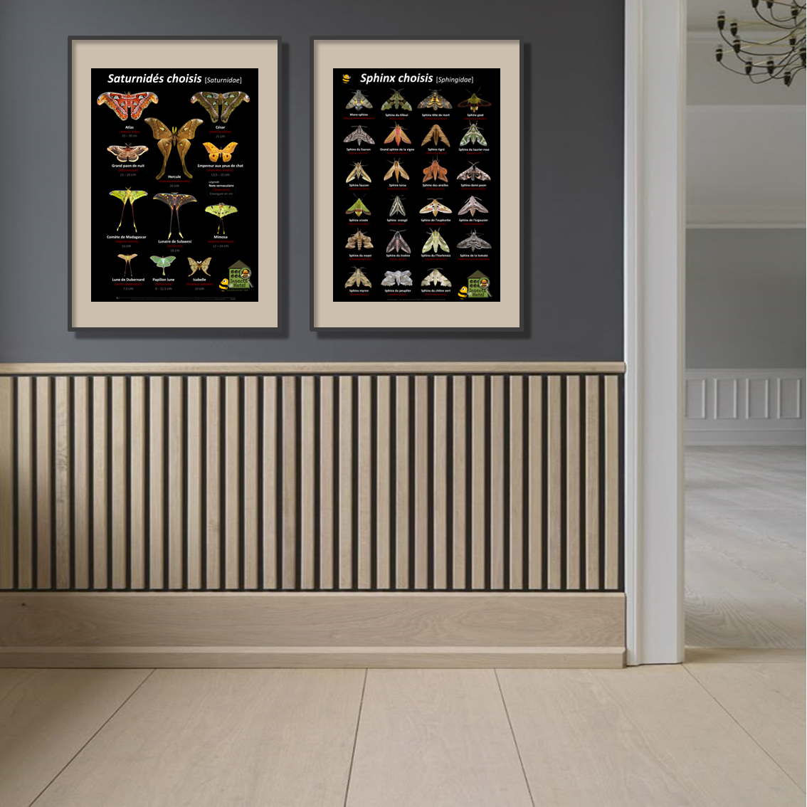 product_image_963070