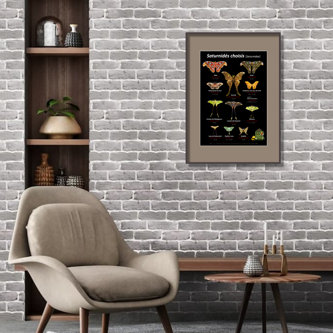 product_image_879858