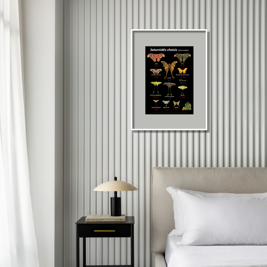 product_image_215404