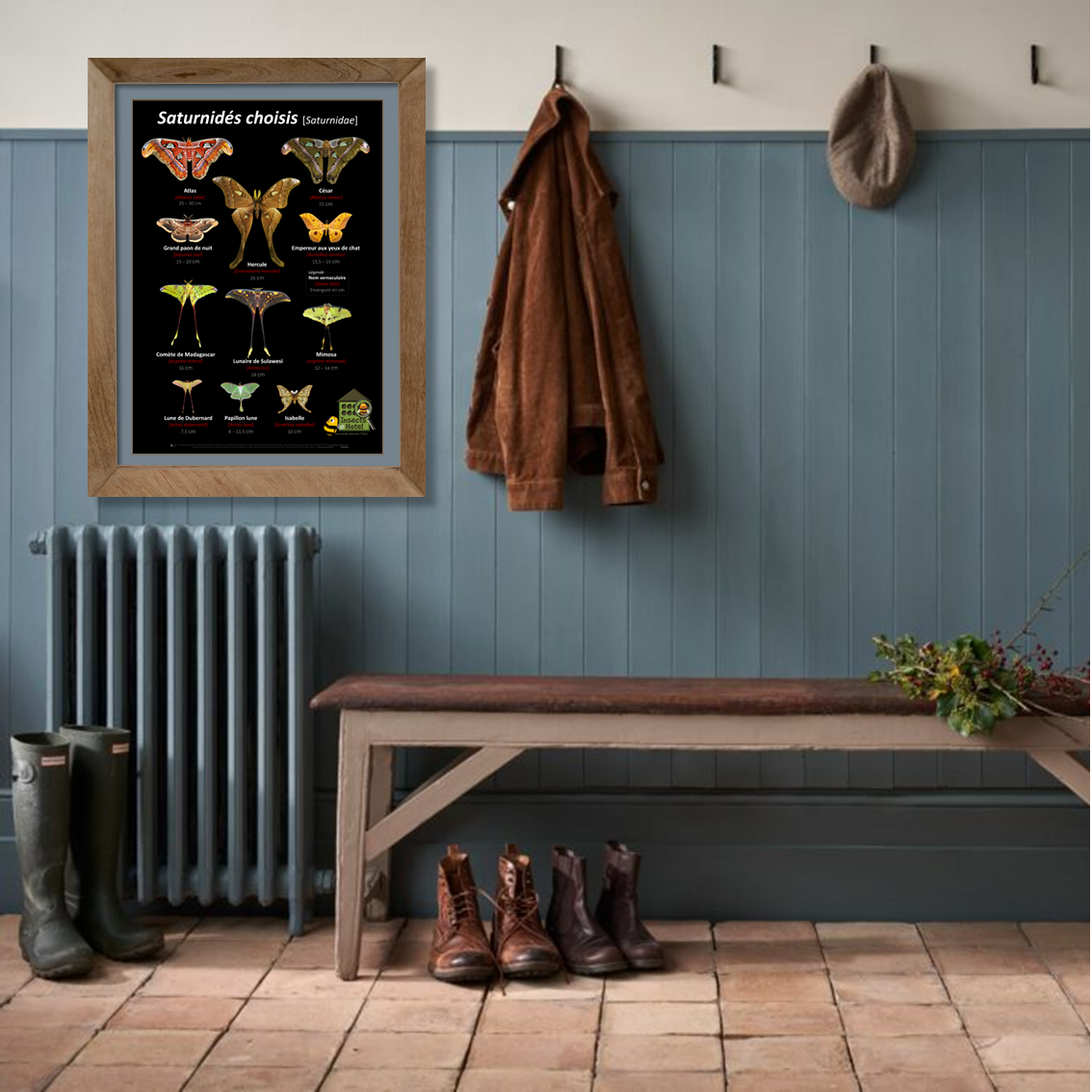 product_image_104573