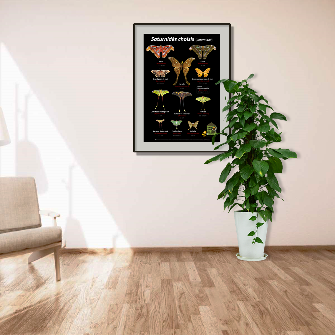 product_image_448121