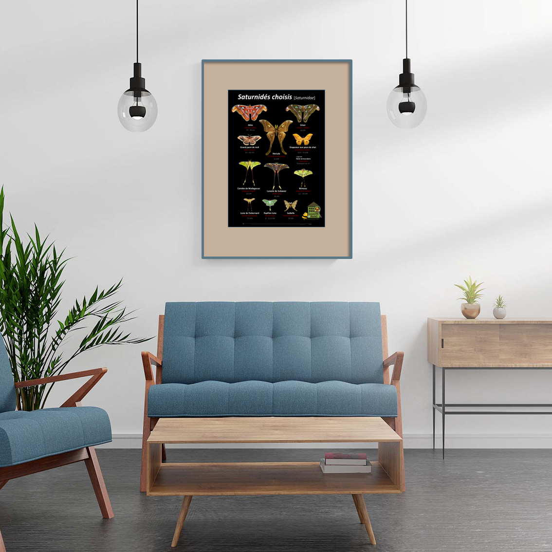 product_image_388352