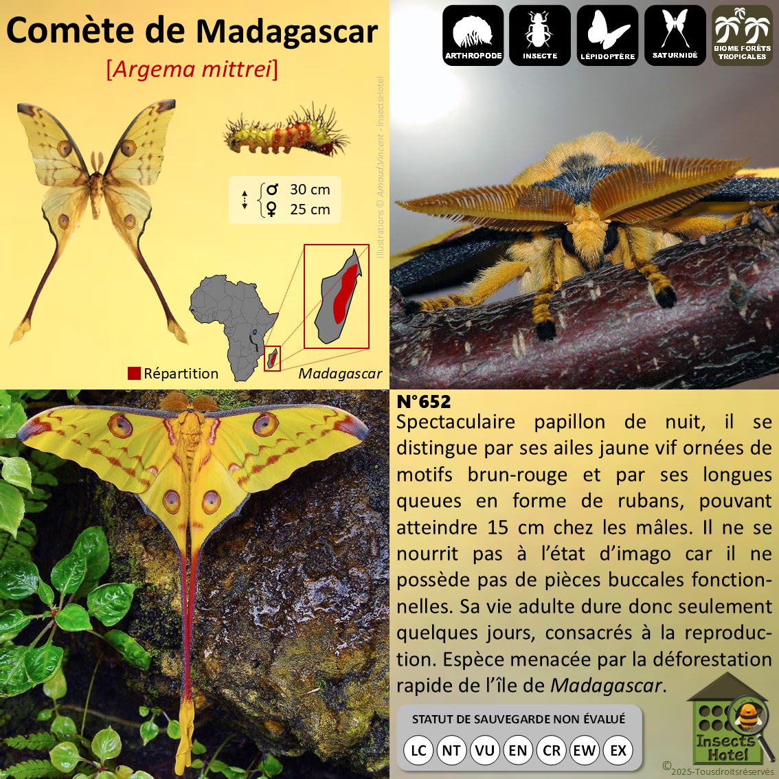 product_image_859453