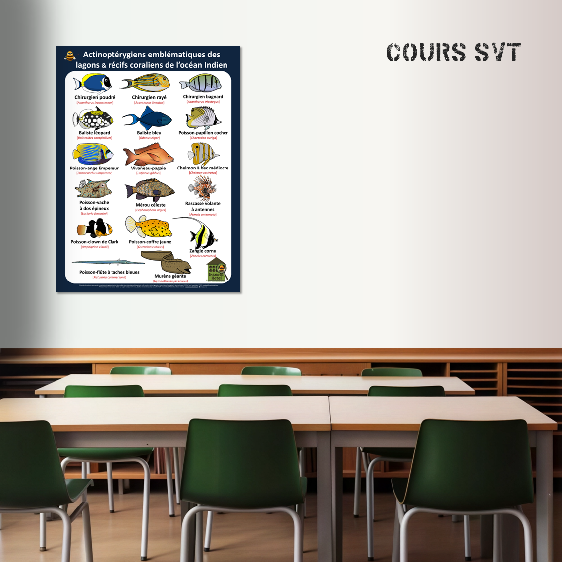 product_image_842720