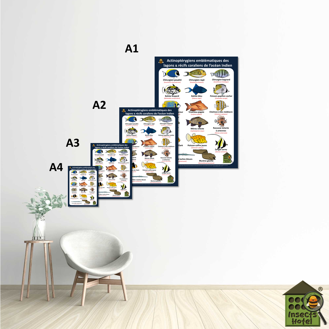 Image back Poster - Actinoptérygiens - OCEAN INDIEN - lagons & récifs coraliens