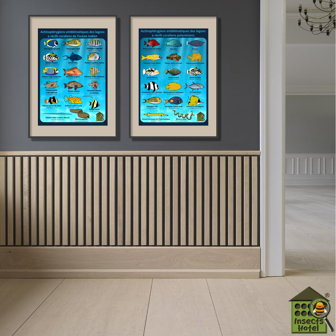 product_image_895980
