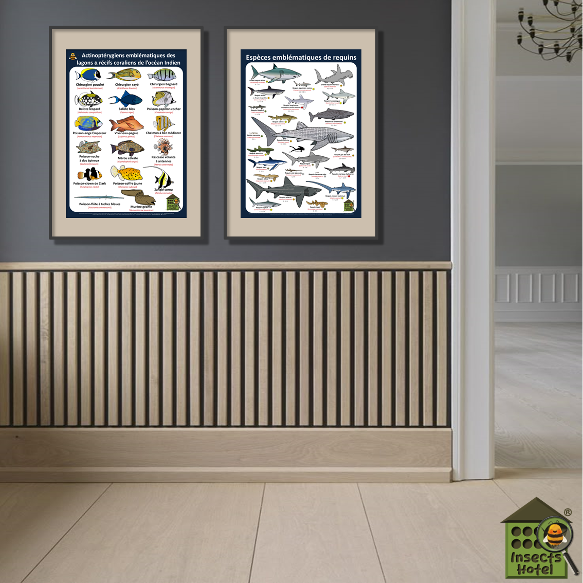 product_image_511564