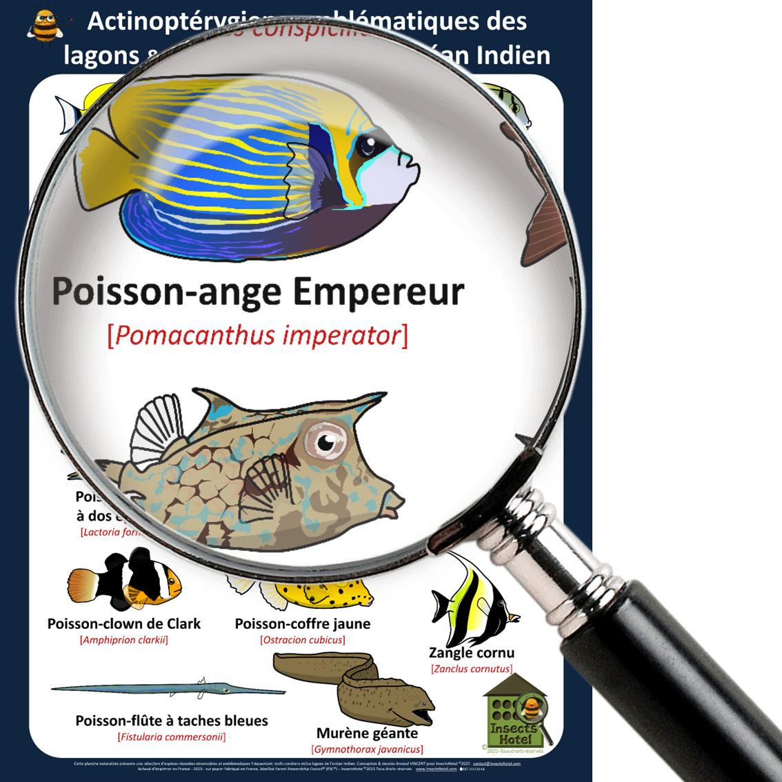 product_image_509769