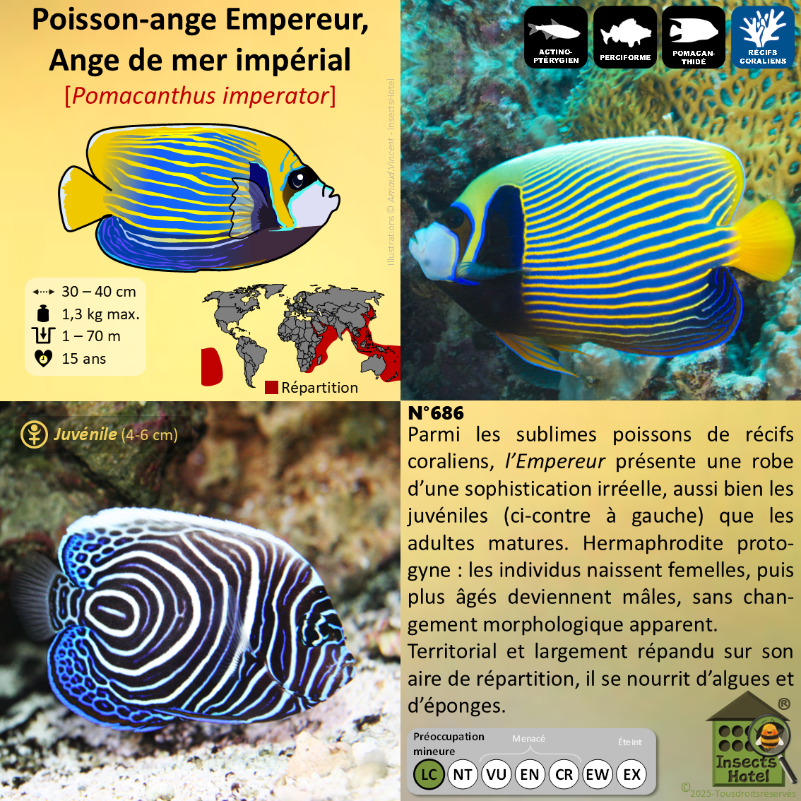 product_image_553724